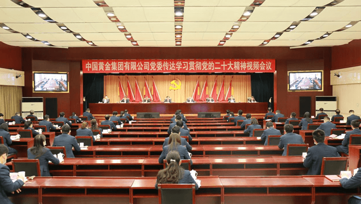 吕氏贵宾会集团有限公司党委传达学习贯彻党的二十大会议精神